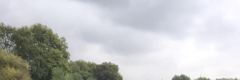Thanos Filios banner