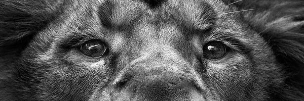 IvnKev3's profile banner image