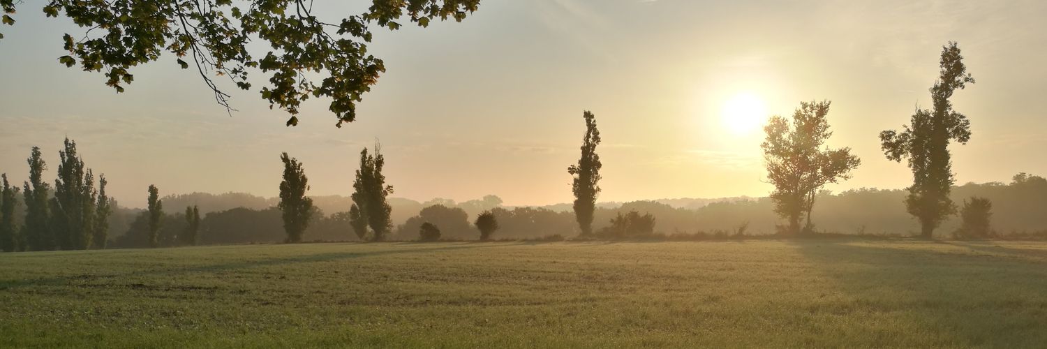 Dontgiveashit banner