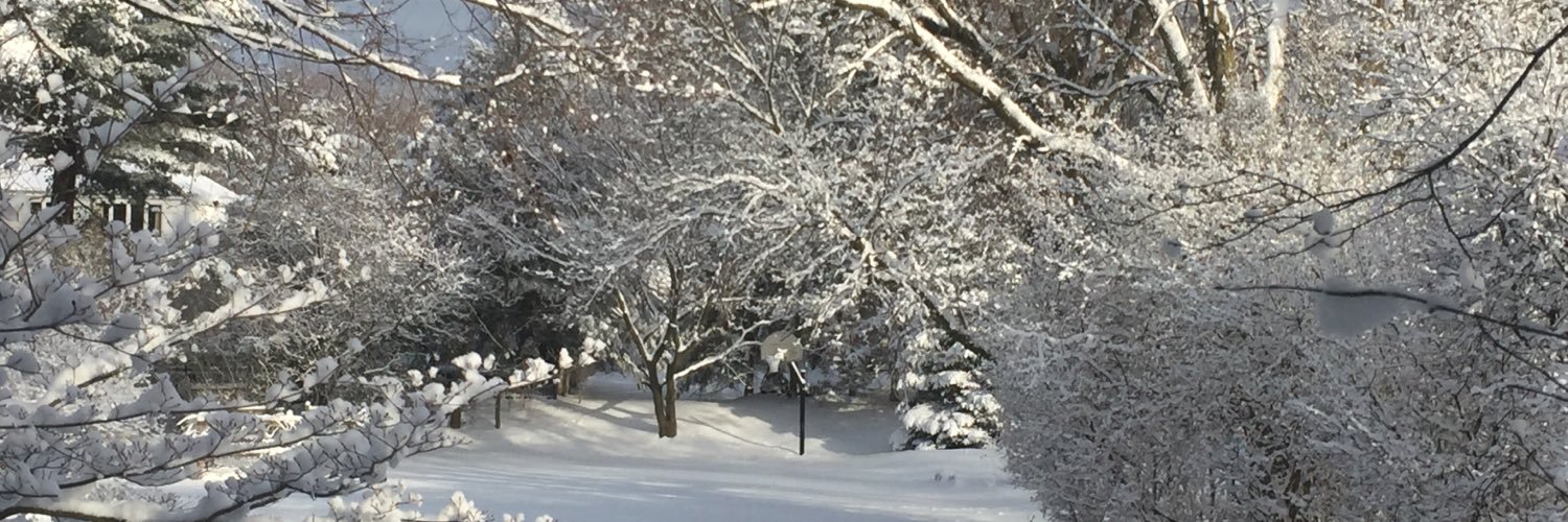 DunkAholik's profile banner image