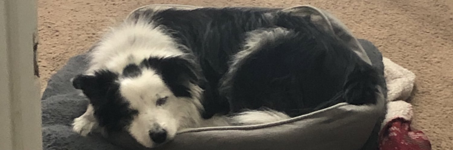 JTotz's profile banner image