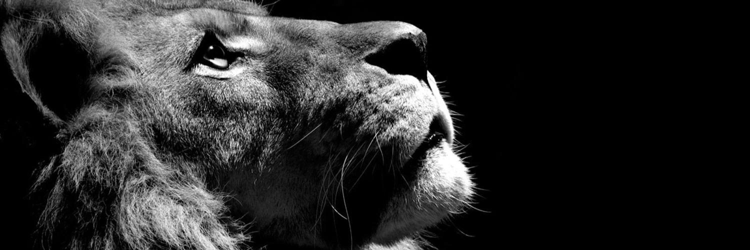 alliedefibaugh's profile banner image