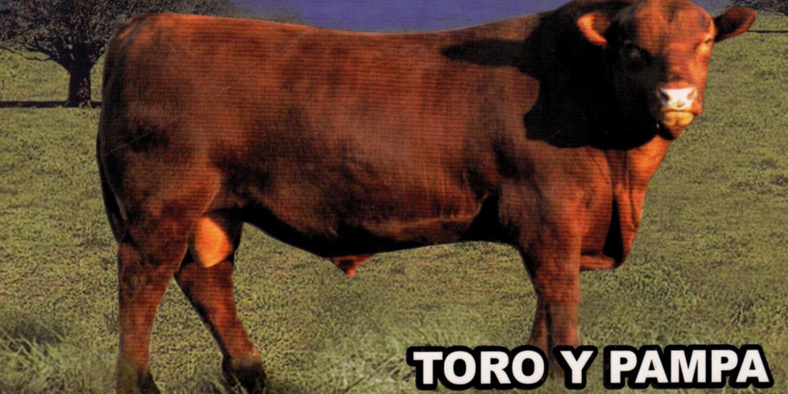 ibarrolalitto's profile banner image