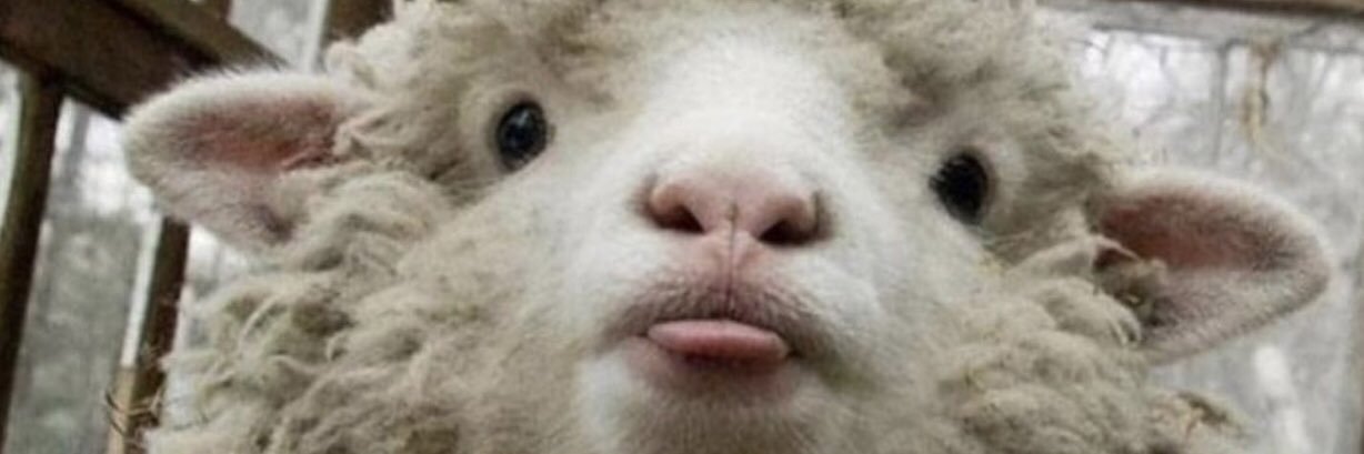 _Katie_4's profile banner image