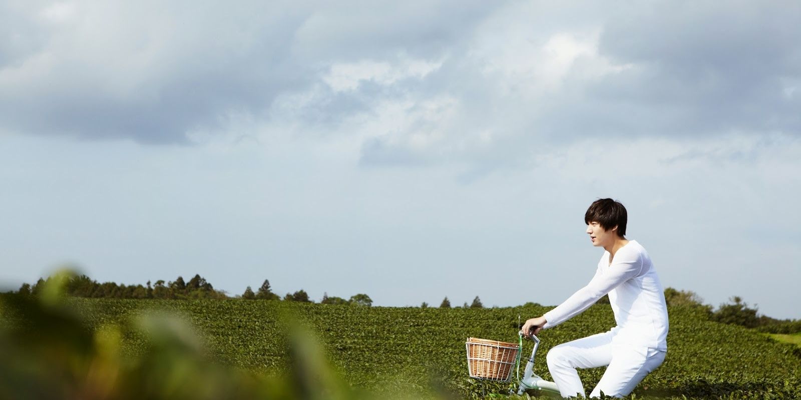 xangcream464's profile banner image