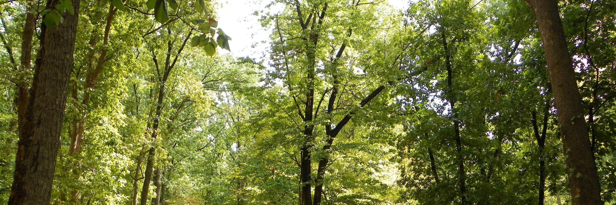 greencntrycamp's profile banner image