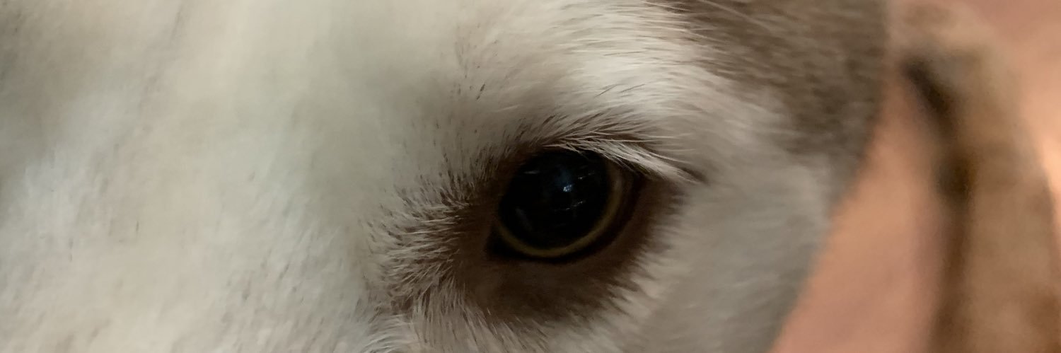 rizzlemethat509's profile banner image