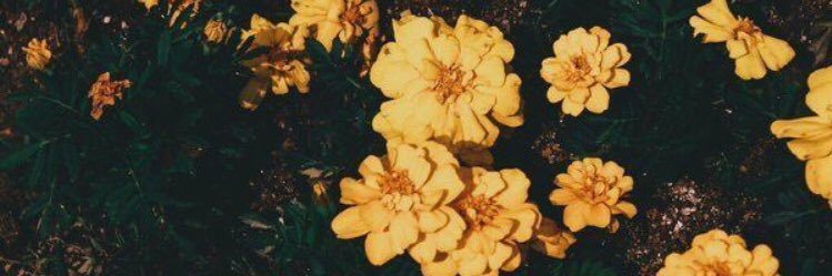 CaittyEliza's profile banner image