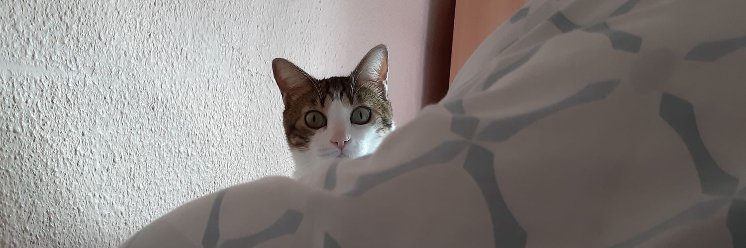 sandralcala's profile banner image