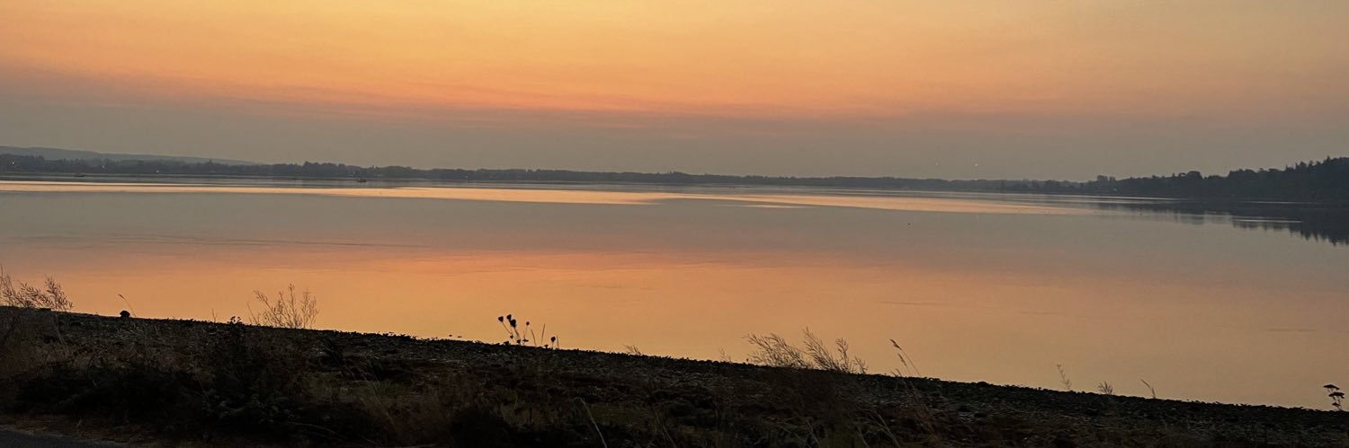 ego banner