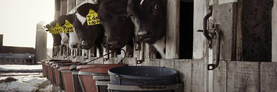 WtWFarm's profile banner image
