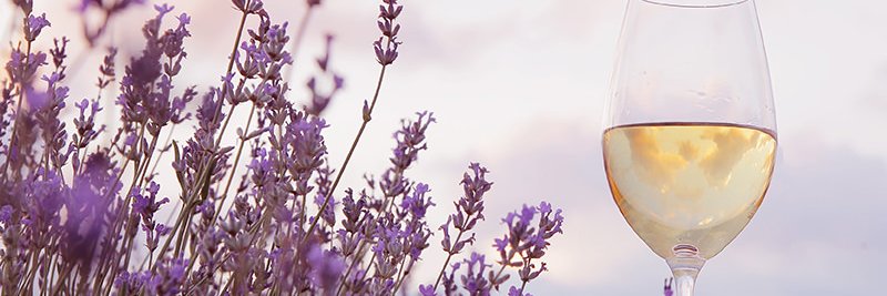 OneStop_JC's profile banner image