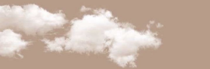 CoralTonge's profile banner image