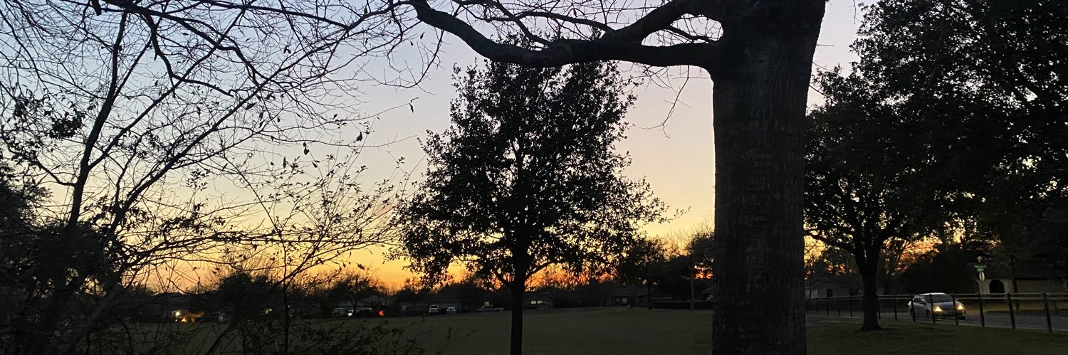 trynapatterson's profile banner image