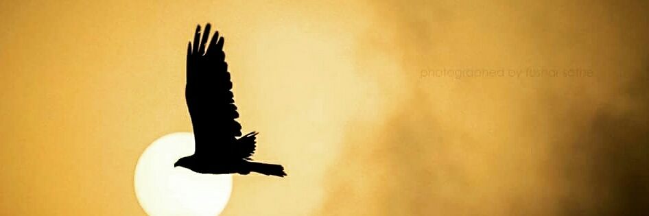 tusharsathe12's profile banner image