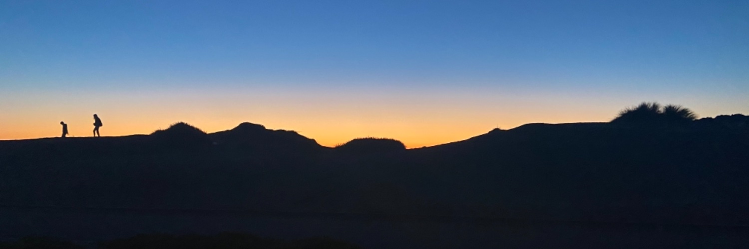 dandrewt's profile banner image
