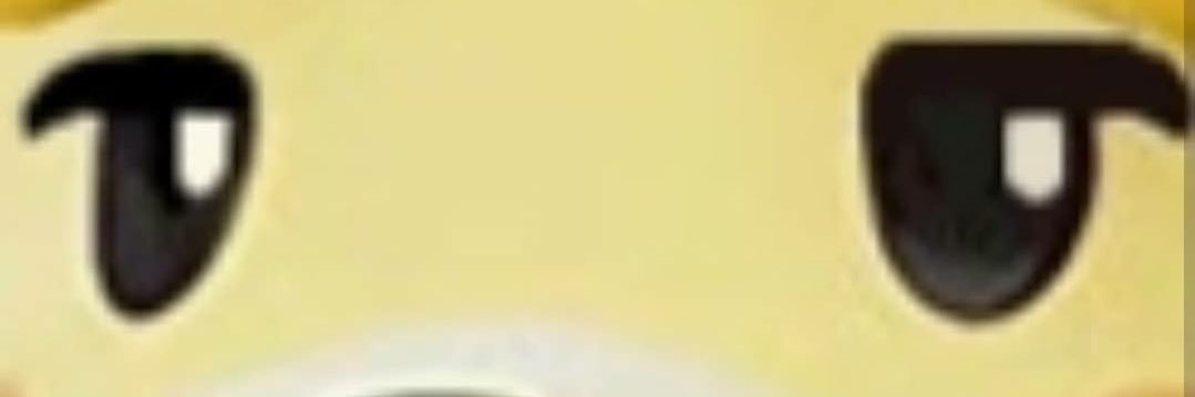Brodus8899's profile banner image