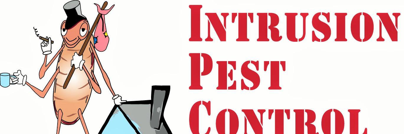 lvpestcontrol's profile banner image