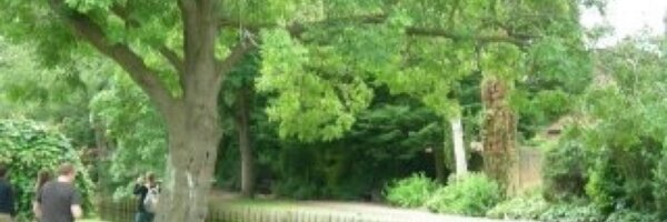 soniapitera Profile Banner