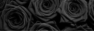 recxverable's profile banner image
