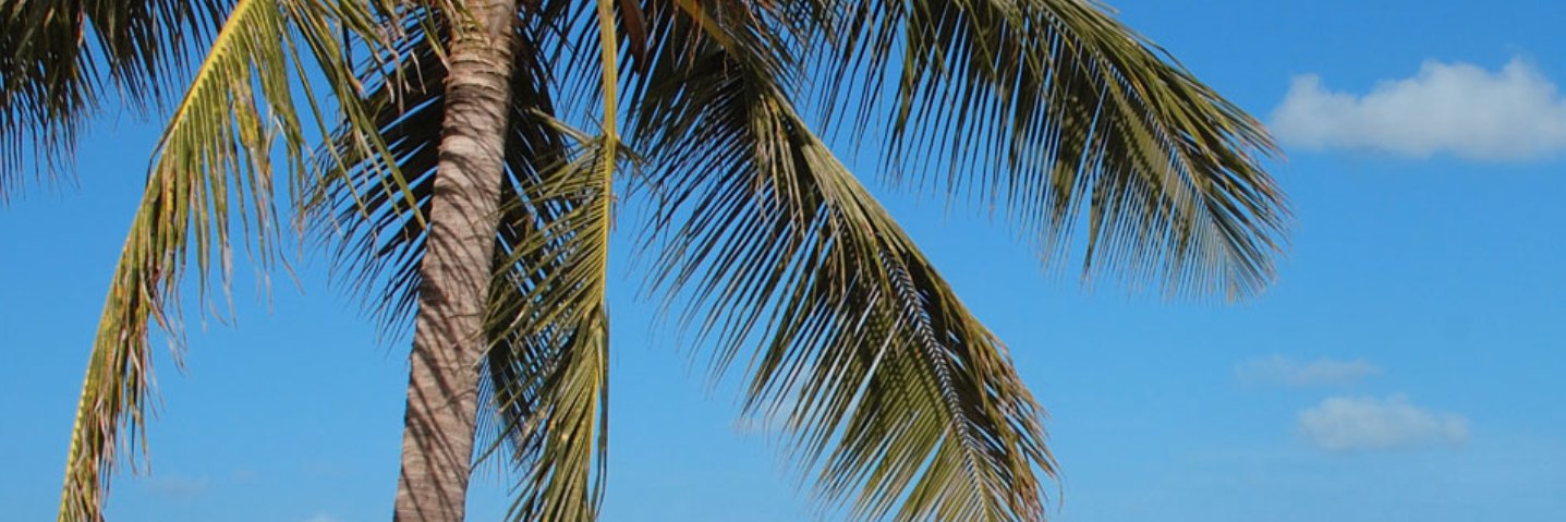 annuitytransltd's profile banner image