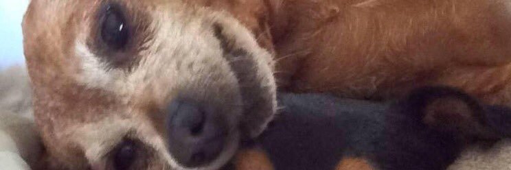 bhoule12's profile banner image