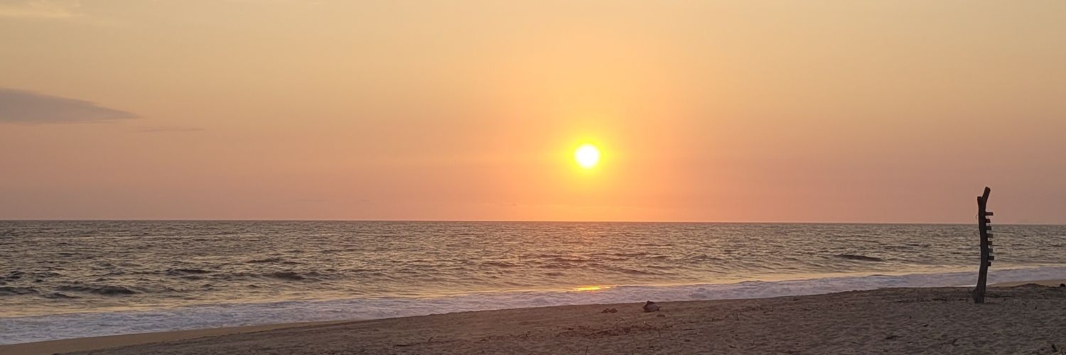 AnaLefranc's profile banner image