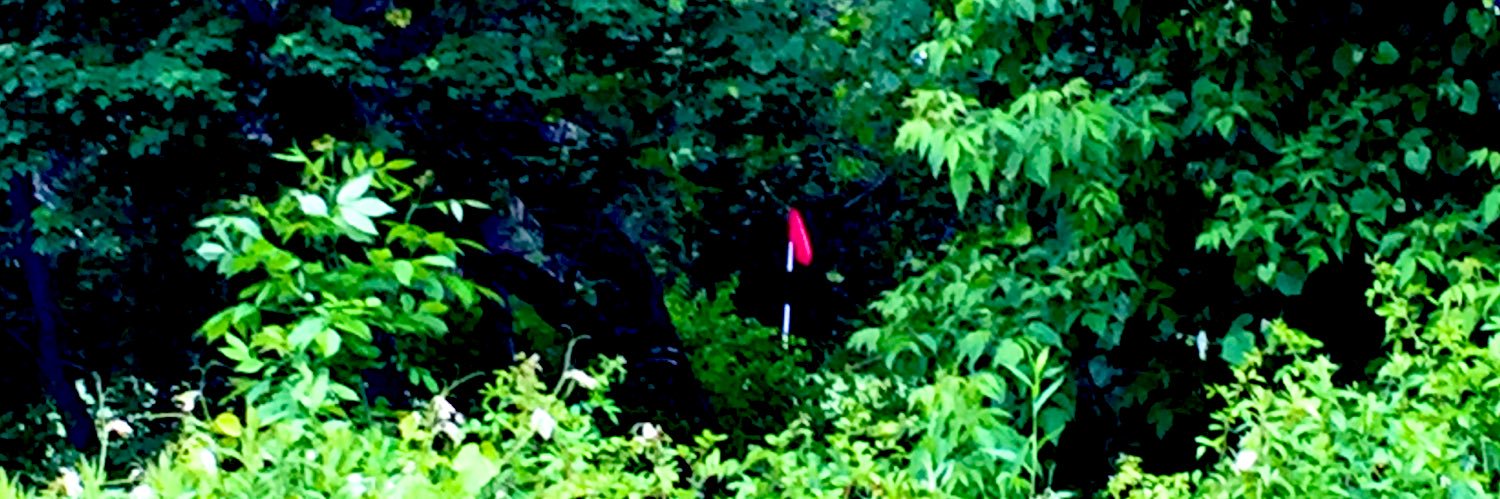 VVolfGolf13⛳️ banner