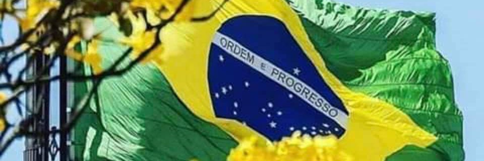 sil_rolim's profile banner image