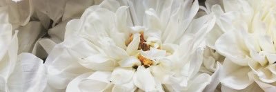 chlo_m1's profile banner image