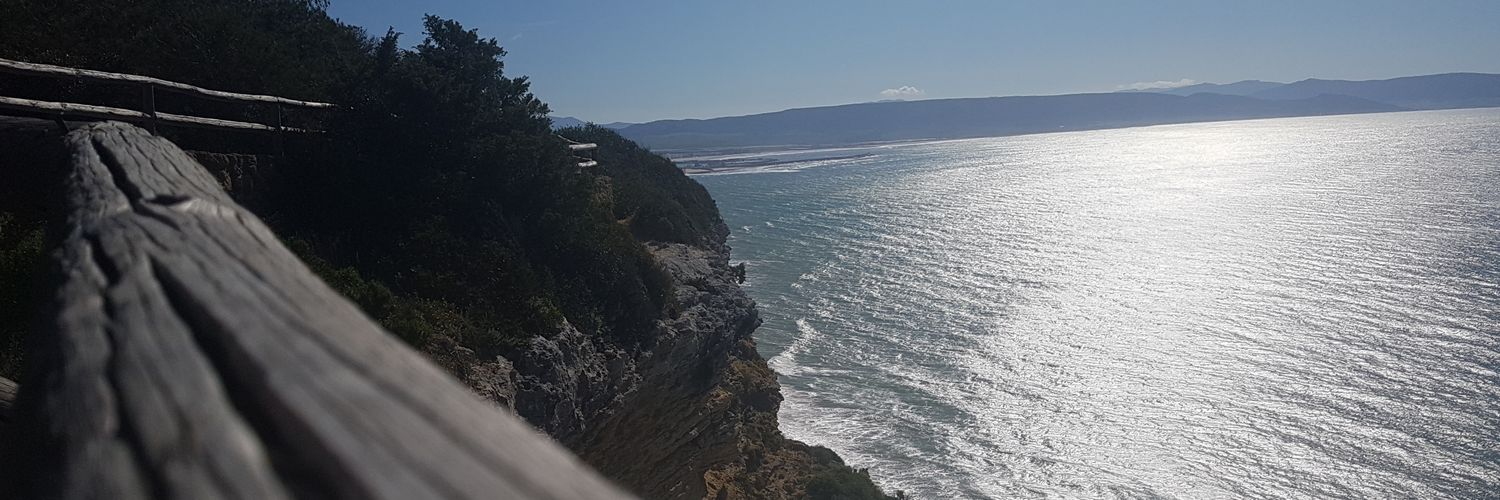 1Everesth's profile banner image