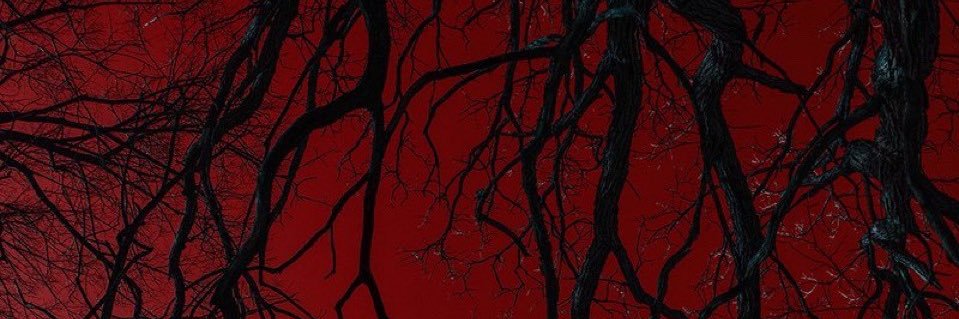 wenderzz69's profile banner image