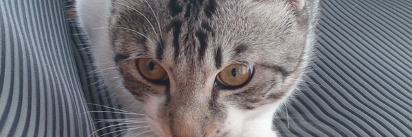 sunmotion_key Profile Banner