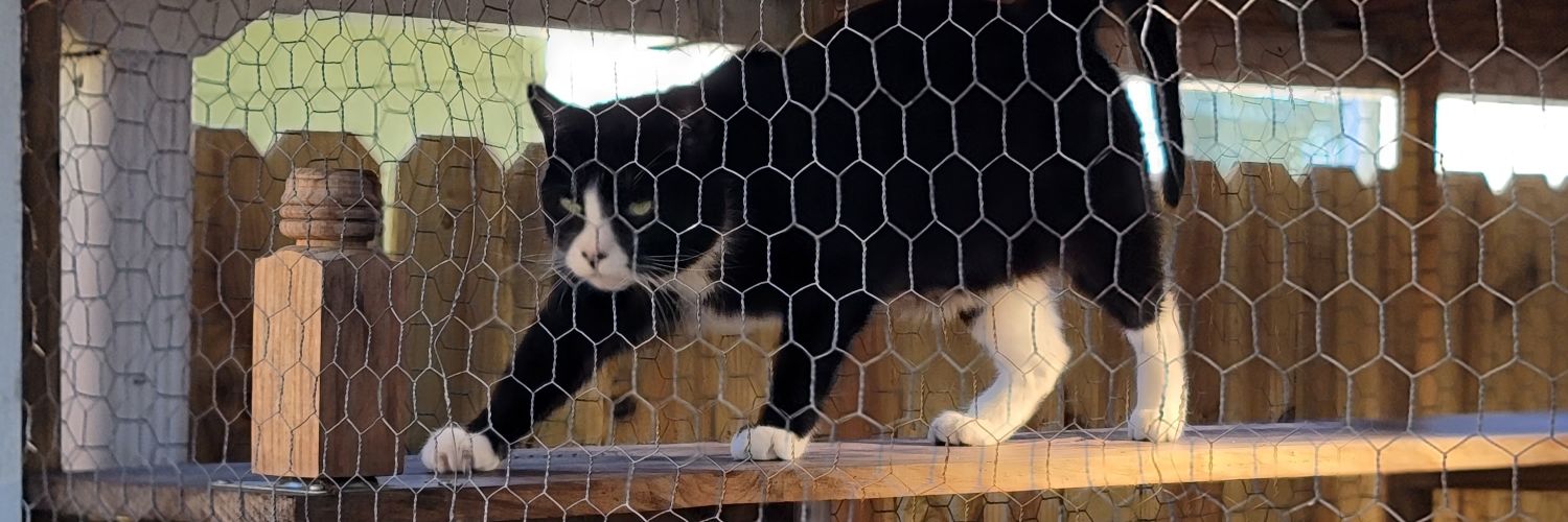 Max-verra Sainvil banner