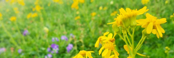 SreevesR Profile Banner