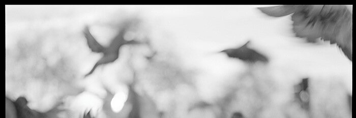 xiaoweilu1987's profile banner image