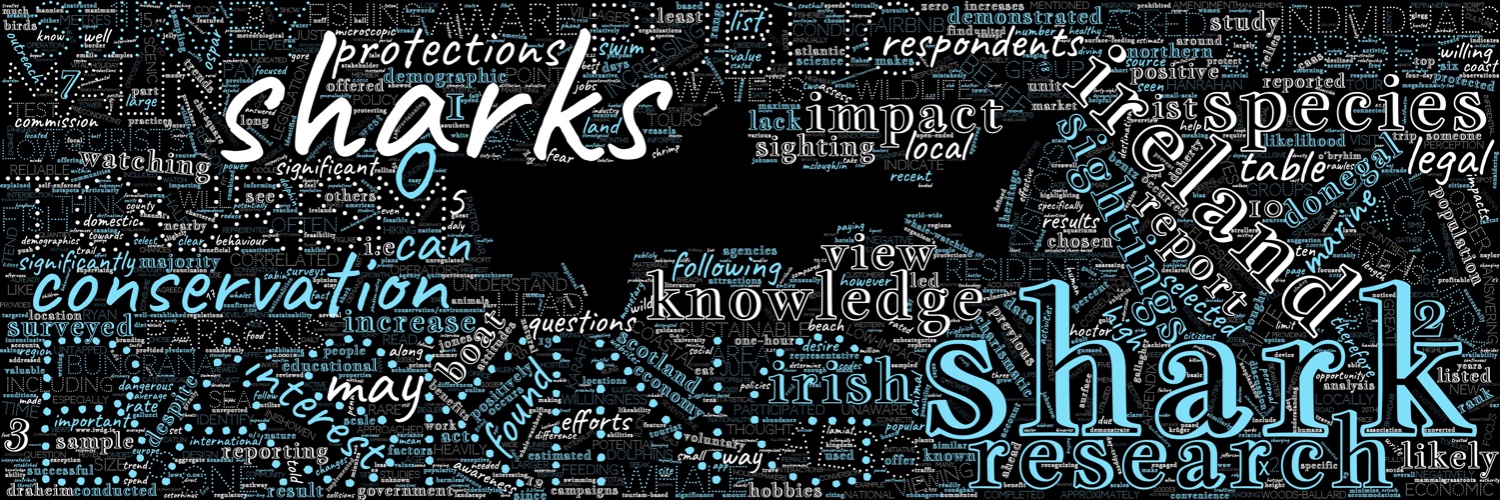 DivingWSharks's profile banner image