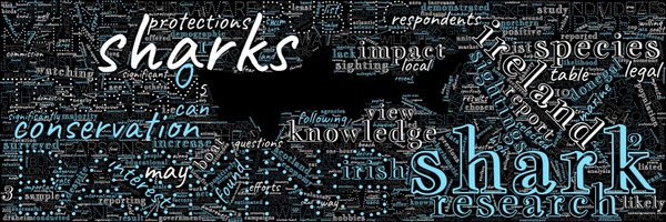 DivingWSharks Profile Banner