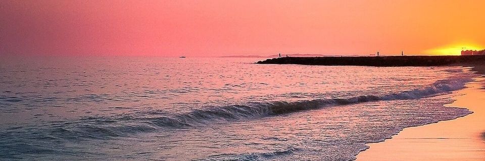 Just_Kata's profile banner image