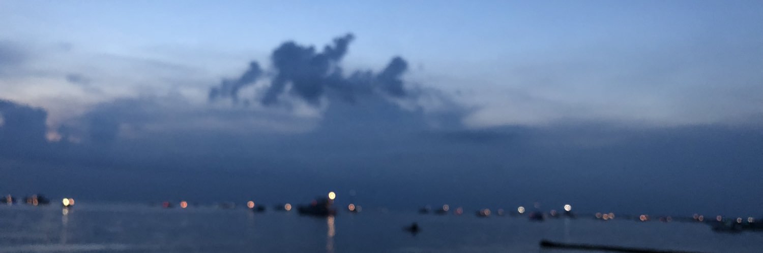 maryvalenzi's profile banner image