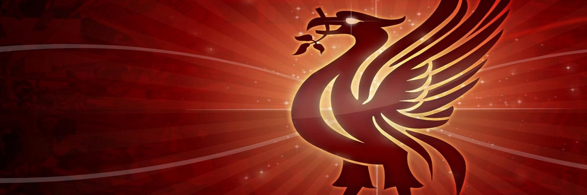 TomWard97's profile banner image