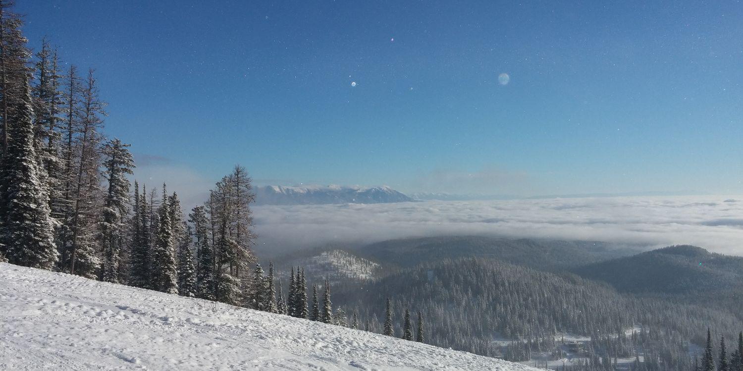 Craig Dickenson banner