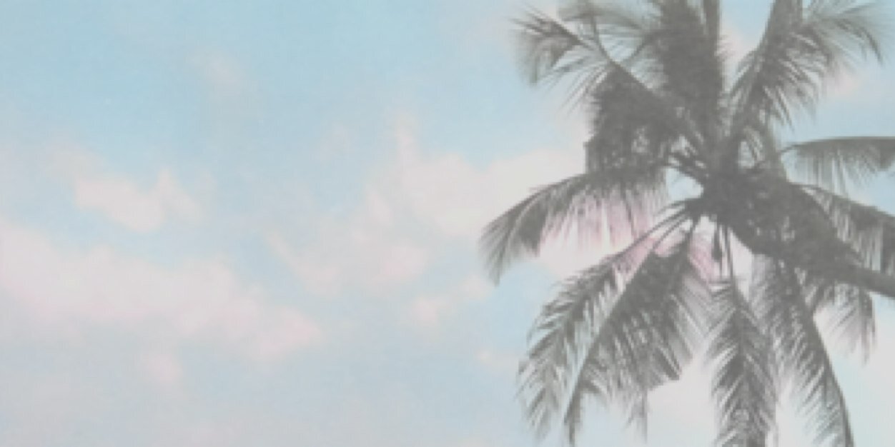 nash_notice's profile banner image