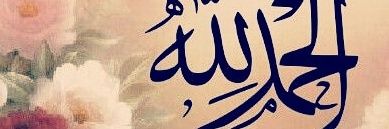 albshr1995's profile banner image