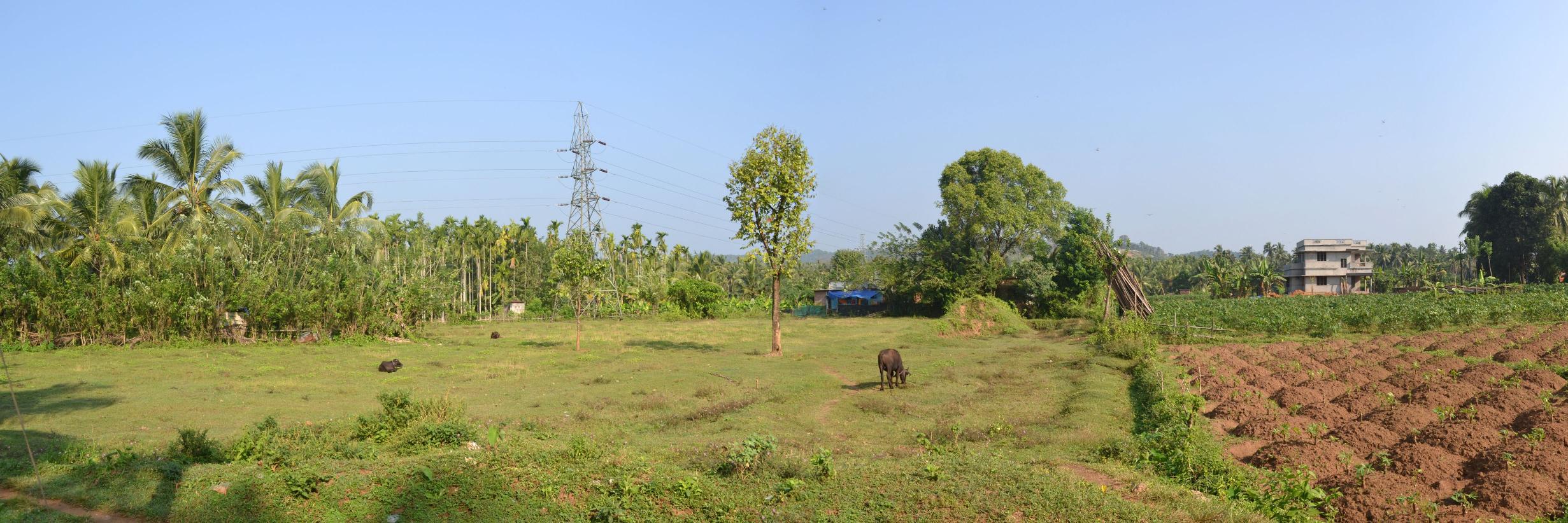 indianagriblog's profile banner image
