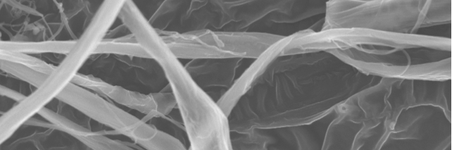 Performance BioFilaments banner