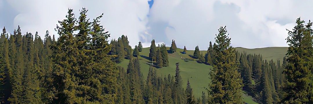 lucaserasmoo's profile banner image