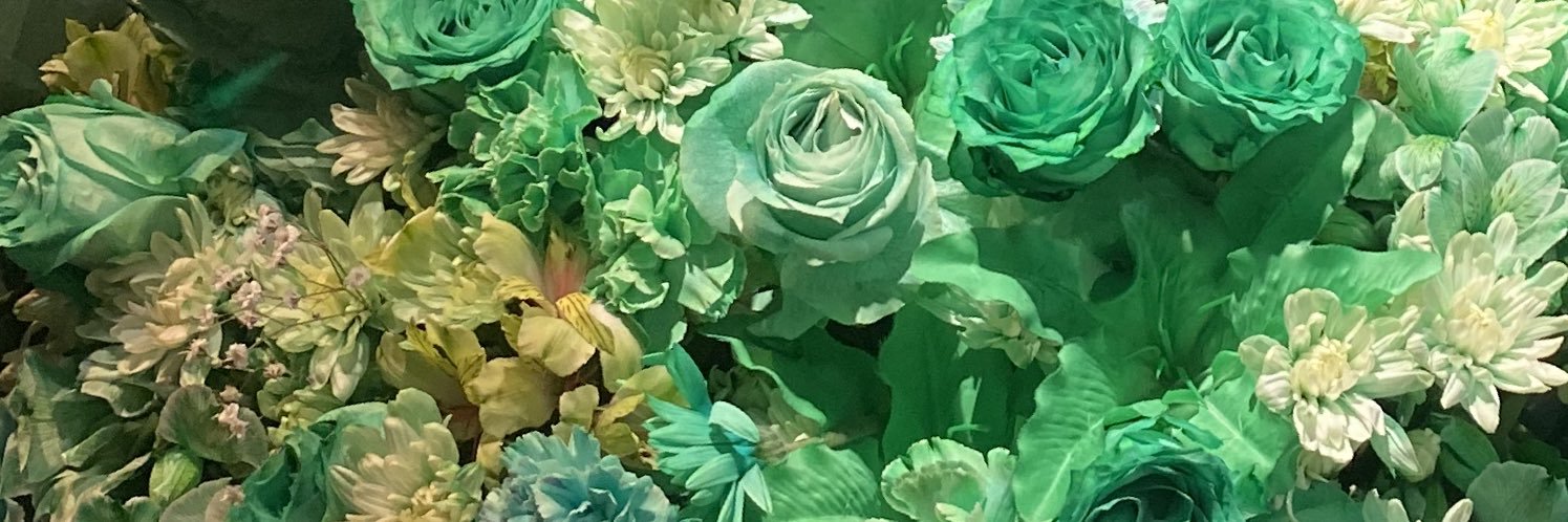 strip_heart's profile banner image