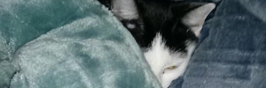 ☭🇵🇦🏴󠁧󠁢󠁳󠁣󠁴󠁿🤞🏼skinny رسول🤞🏼🇮🇪🇲🇽☭ banner