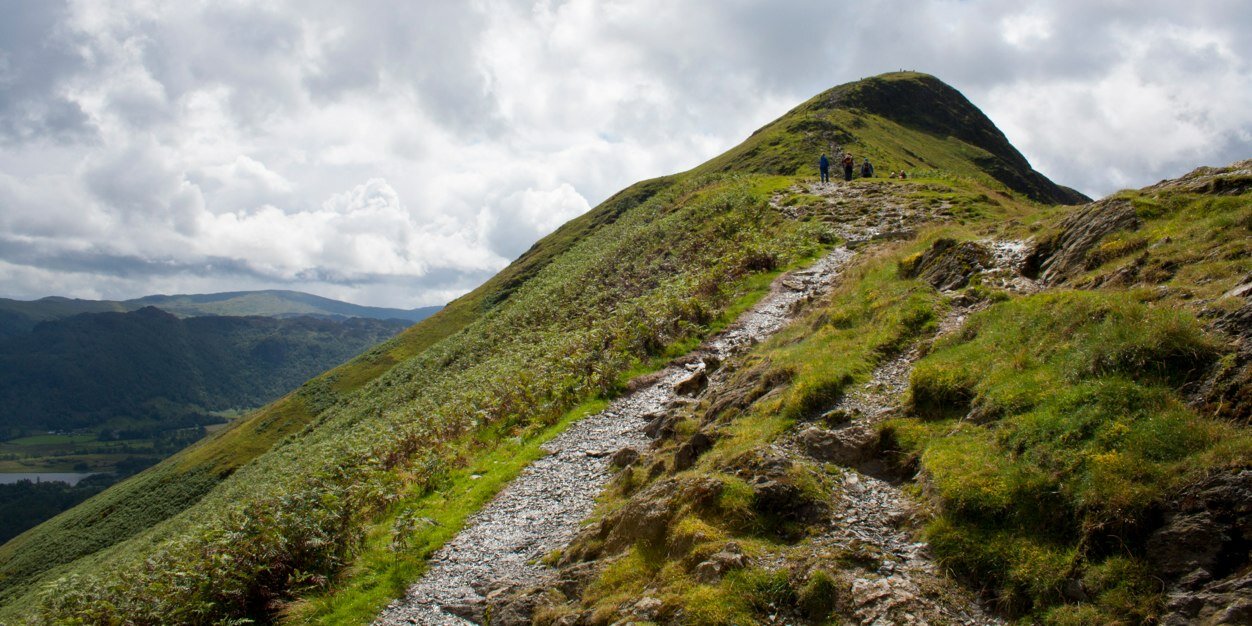 Rachel MacCormick banner